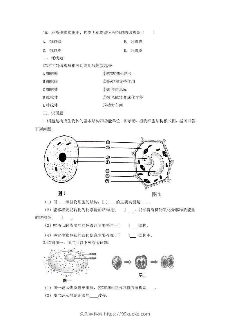 图片[3]-七年级上册生物第二单元第一章第四节试卷及答案(Word版)-久久学科网