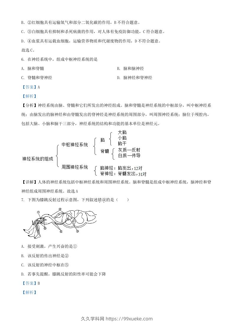 图片[3]-2024年上海中考生物试题及答案(Word版)-久久学科网