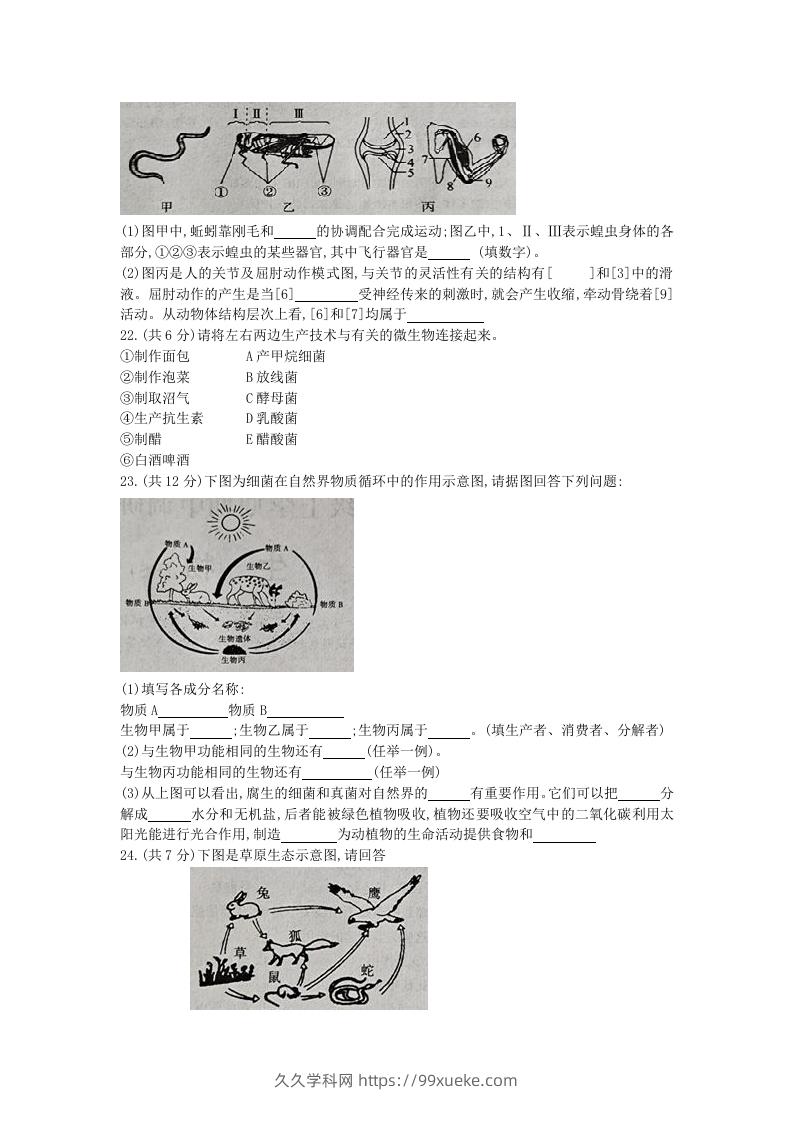 图片[3]-2020-2021学年河南省新乡市卫辉市八年级上学期期中生物试题及答案(Word版)-久久学科网