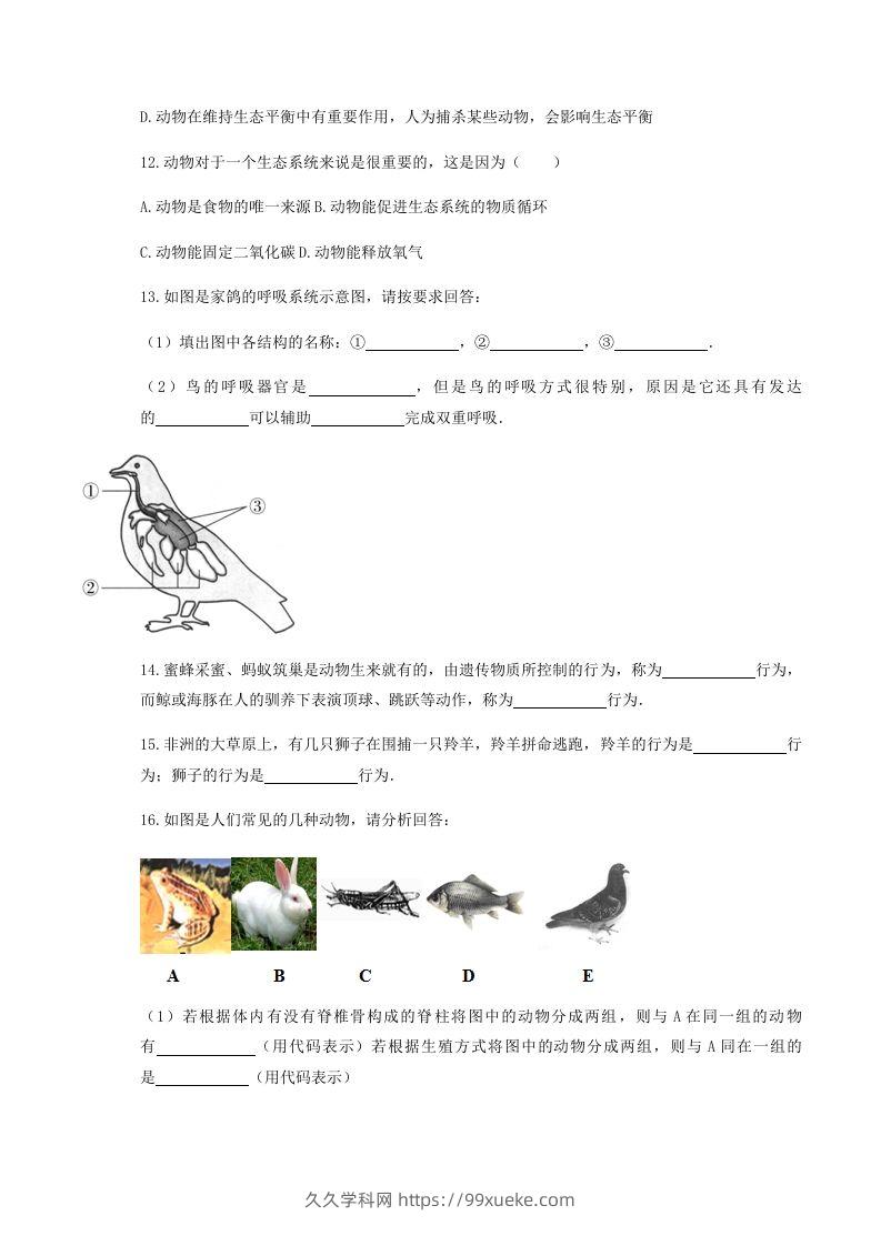 图片[3]-2020-2021学年湖北省黄冈市红安县八年级上学期期中生物试题及答案(Word版)-久久学科网