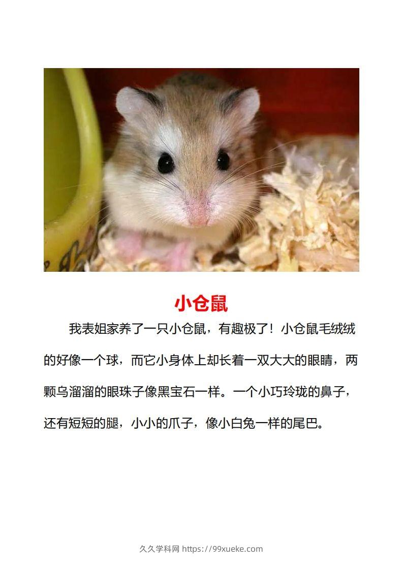 图片[2]-二年级上册语文口语交际一“有趣的动物”指导及范文-久久学科网