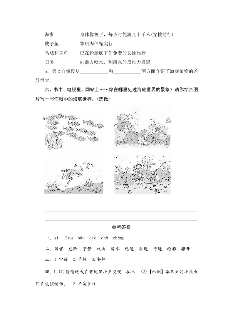 图片[3]-三年级语文下册23海底世界-久久学科网