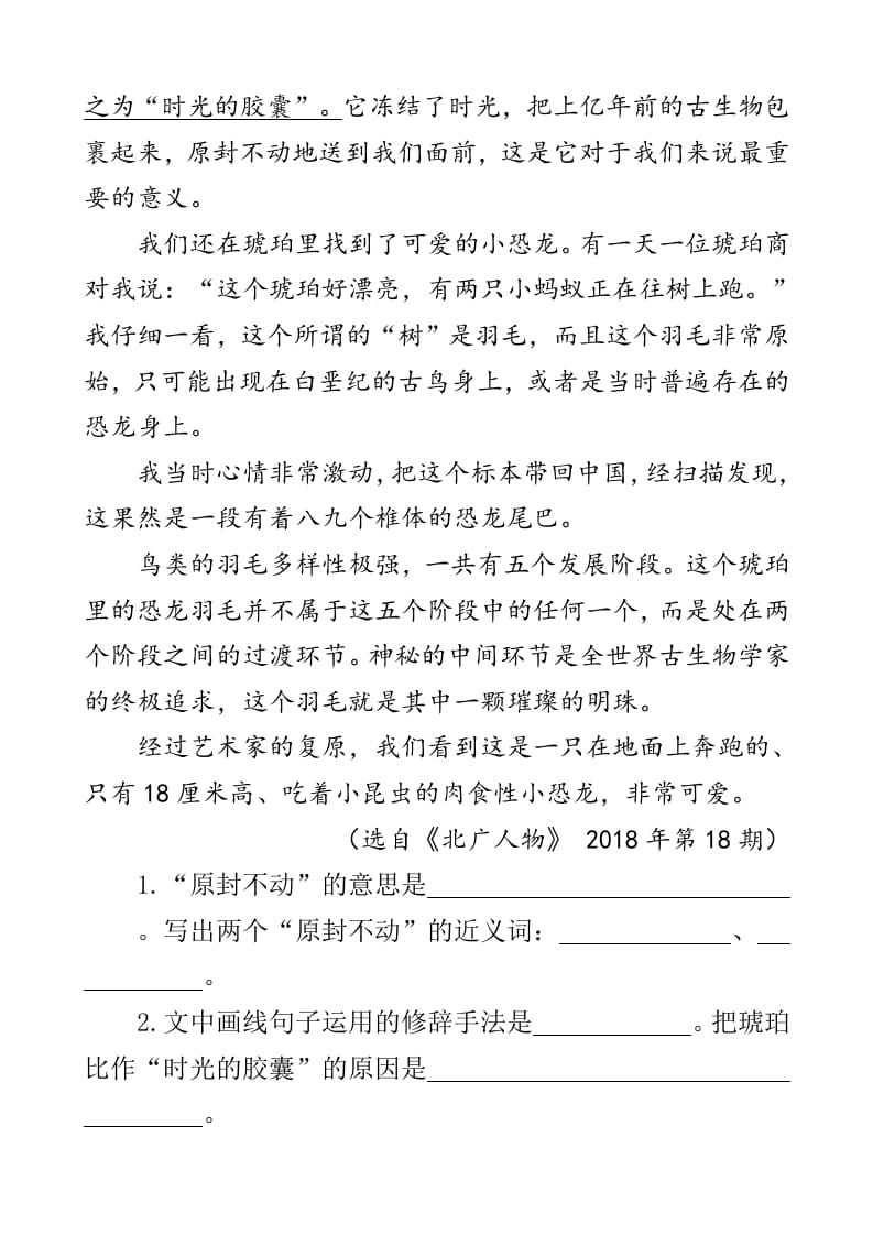 图片[3]-四年级语文下册类文阅读-5琥珀-久久学科网