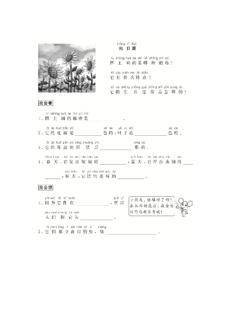图片[2]-二年级语文上册（跟我学写话）写物（5篇）（部编）-久久学科网