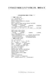 小升初语文专题复习《句子专项练习卷》整整41页-久久学科网