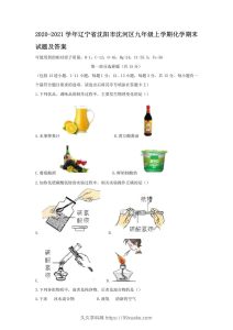 2020-2021学年辽宁省沈阳市沈河区九年级上学期化学期末试题及答案(Word版)-久久学科网